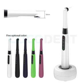 Q2 LED Curing Light